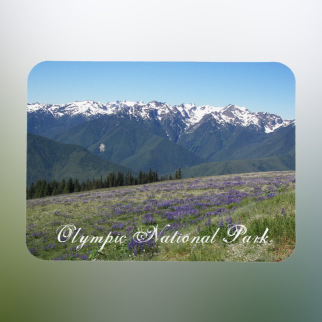 Olympic National Park Scenic Landscape Magnet (In Situ Fridge)