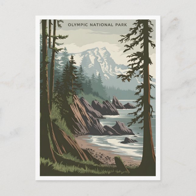 Olympic National Park vintage Postcard (Front)
