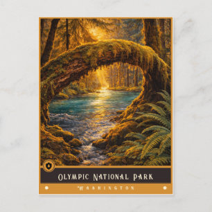Olympic National Park   Vintage Postcard