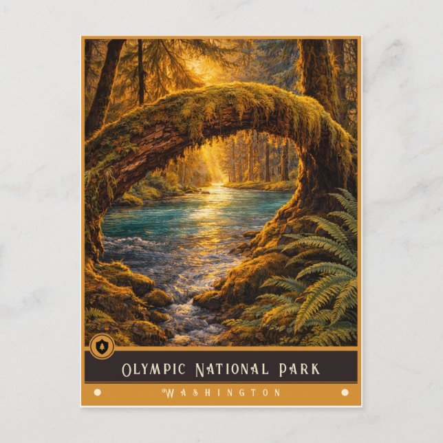 Olympic National Park | Vintage Postcard (Front)