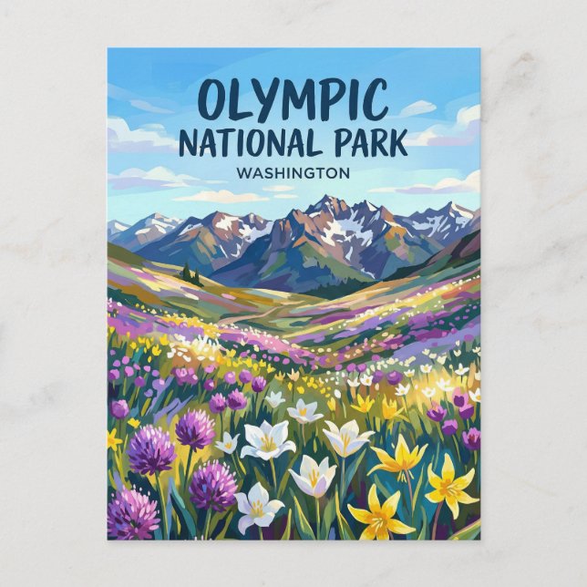 Olympic National Park Washington Postcard (Front)