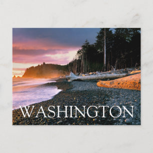 Olympic National Park   Washington State Birthday Postcard
