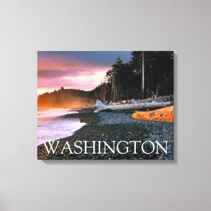 Olympic National Park   Washington State Canvas Print