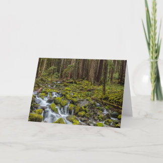Olympic National Park, Washington State Card