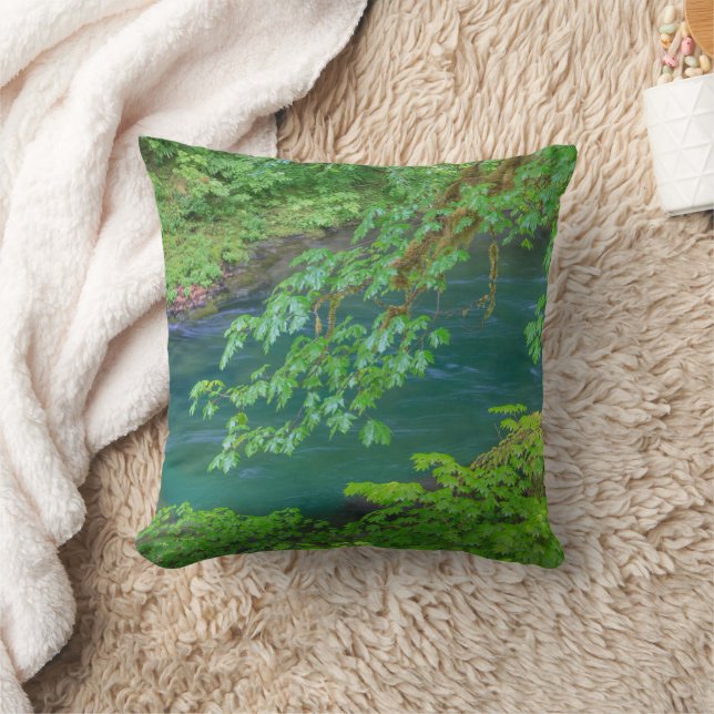 Olympic National Park Washington State Cushion (Blanket)
