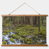 Olympic National Park, Washington State