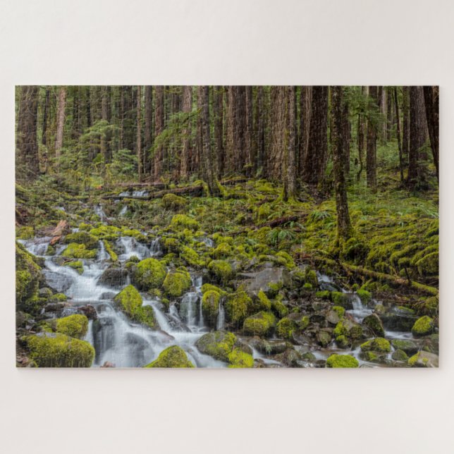 Olympic National Park, Washington State Jigsaw Puzzle (Horizontal)