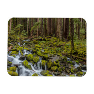 Olympic National Park, Washington State Magnet