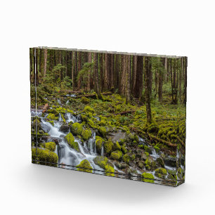 Olympic National Park, Washington State Photo Block