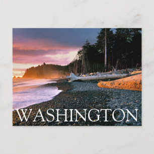Olympic National Park Washington State Postcard