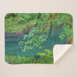 Olympic National Park Washington State Sherpa Blanket