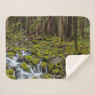 Olympic National Park, Washington State Sherpa Blanket
