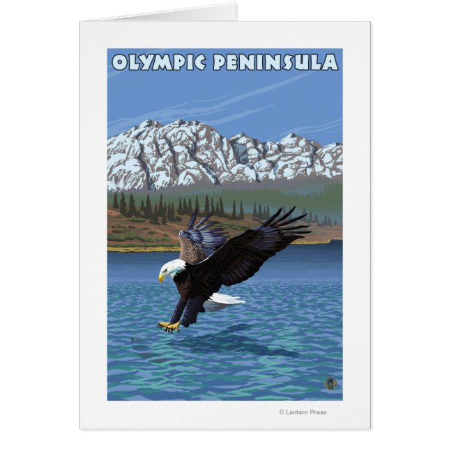 Olympic Peninsula, WashingtonFishing Eagle (Front)