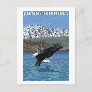 Olympic Peninsula, WashingtonFishing Eagle Postcard