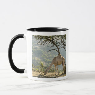 Oman, Dhofar Region, Salalah. Camel Mug