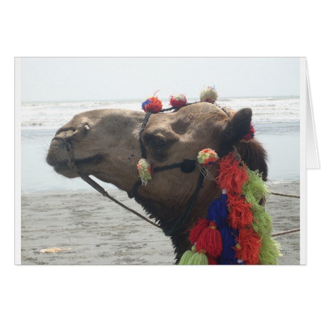 Oman! Muscat (Front Horizontal)