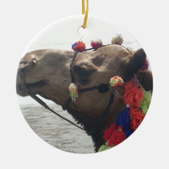 Oman Muscat Camel Photo Art Print Ceramic Tree Decoration (Front)