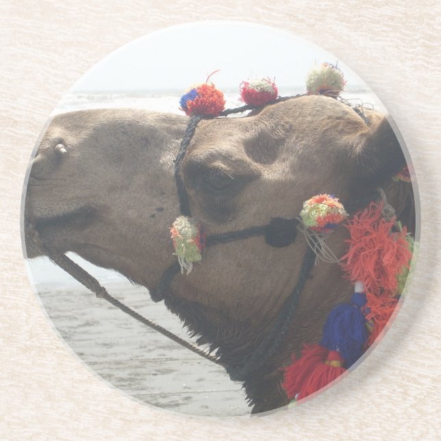Oman Muscat Camel Photo Art Print Coaster (Front)