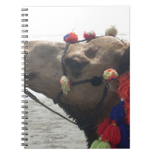 Oman Muscat Camel Photo Art Print Spiral Notebook