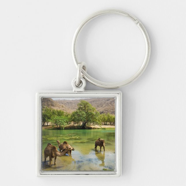 Oman, Wadi darbat Key Ring (Front)