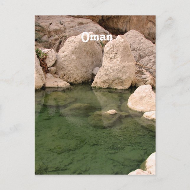 Oman Watering Hole Postcard (Front)