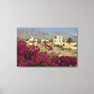 Oman, Western Hajar Mountains, Al Hamra. Town Canvas Print