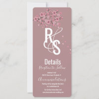 Ombre Petals Cherry Blossom Tree Botany Details