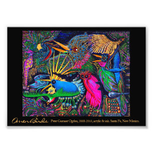 Omen Birds Postmodern Colourful Santa Fe Outsider Photo Print