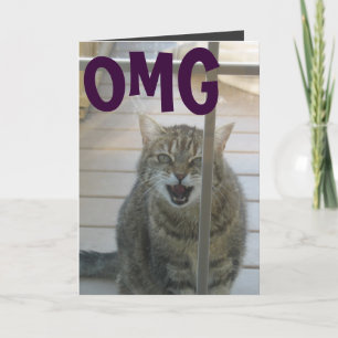 omg cat happy birthday card