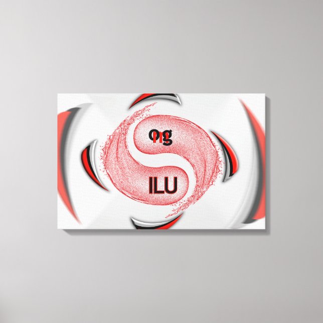 OMG! ilu Canvas Print (Front)