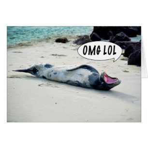 OMG LOL SEAL