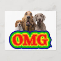 OMG Rainbow with surprised dogs!