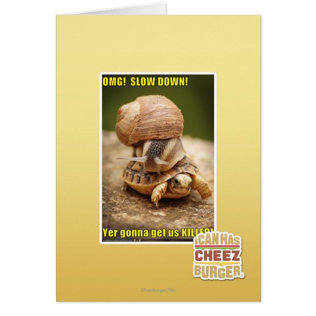 OMG! Slow down! (Front)