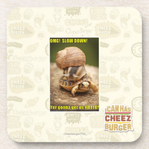 OMG! Slow down! Coaster