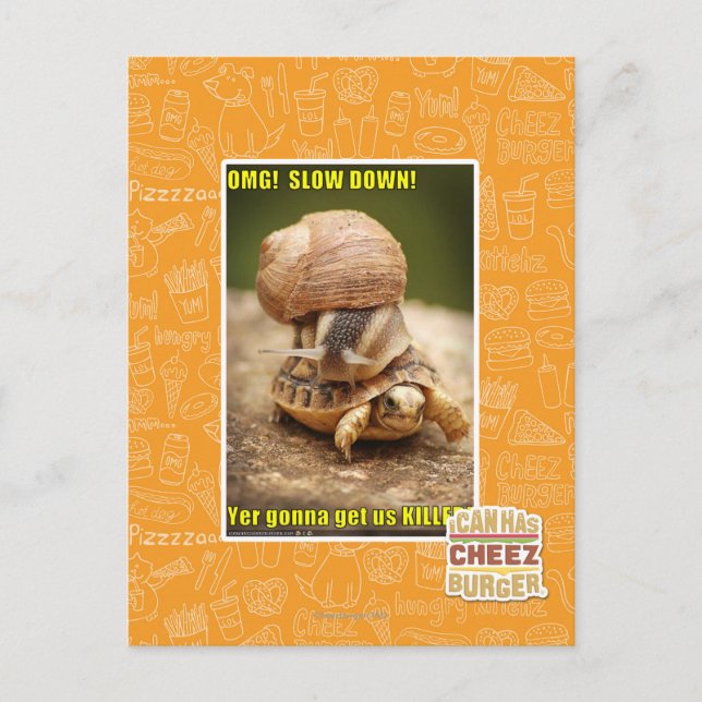 OMG! Slow down! Postcard (Front)