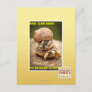 OMG! Slow down! Postcard