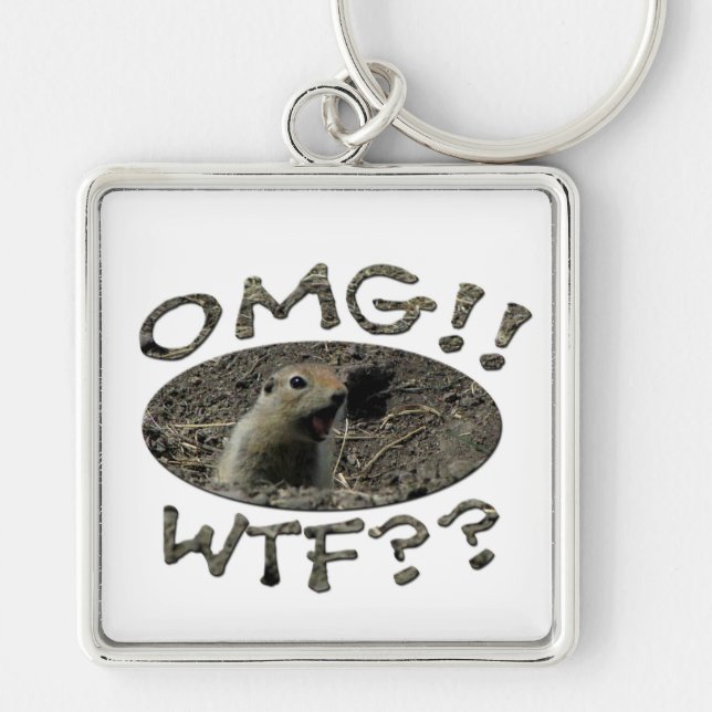 OMG WTF Gopher Key Ring (Front)