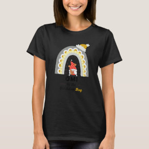 Omi Of The Birthday Boy Omi Gnome Rainbow Christma T-Shirt