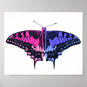 Omnisexual Pride Flag Swallowtail Butterfly Poster