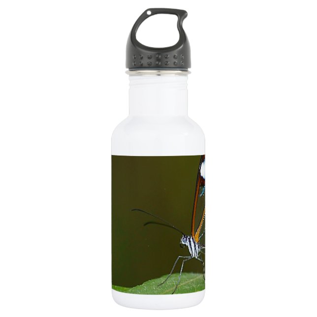 "On a Clear Day" Glasswing Butterfly Design 532 Ml Water Bottle (Front)