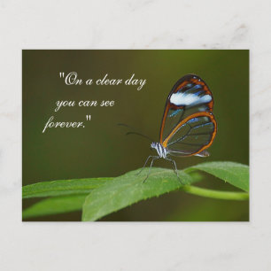 "On a Clear Day" Glasswing Butterfly Design Postcard