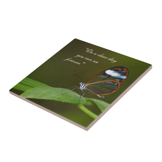"On a Clear Day" Glasswing Butterfly Design Tile (Side)