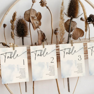 On Cloud Nine Blue Bridal Shower Name Table Number