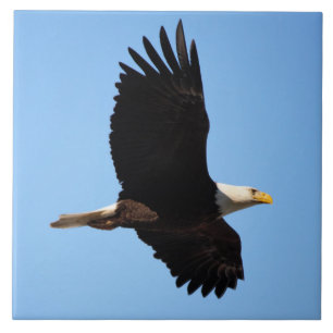 On Eagle Wings Ceramic Tile