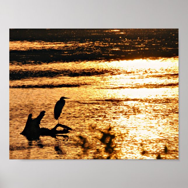 On golden lake poster (Front)