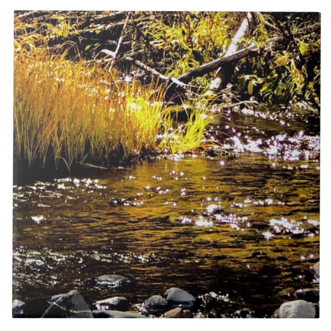 On Golden Water Creek Tile (Front)