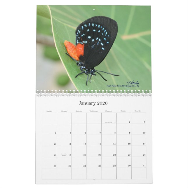 On Gossamer Wings 2011 Butterfly Calendar (Jan 2026)
