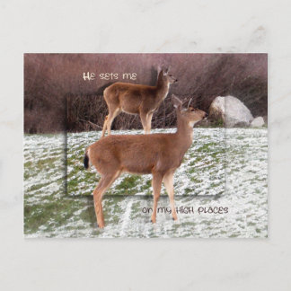 On High Places Postcard