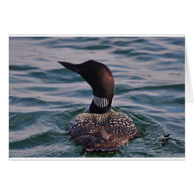 On his tail (Front Horizontal)