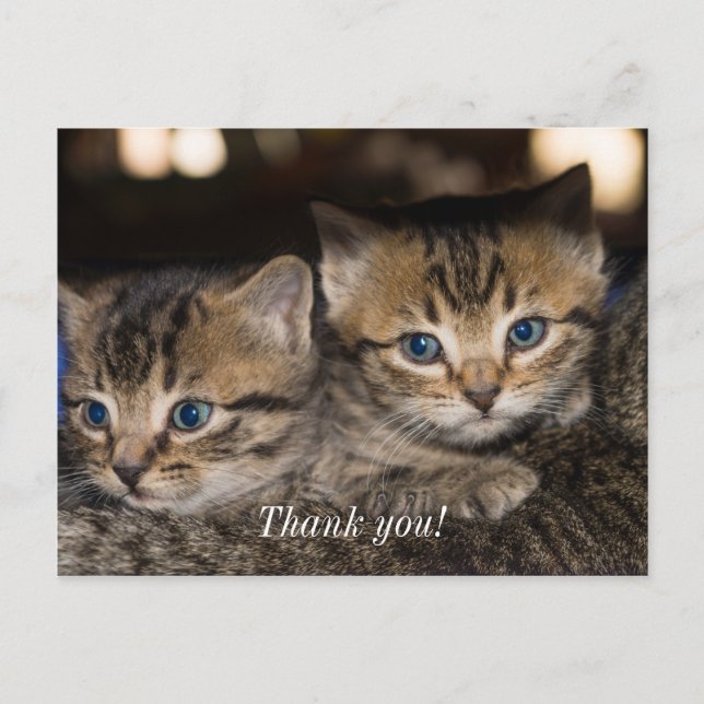 On Momma's Back Thank You Postcard (Front)